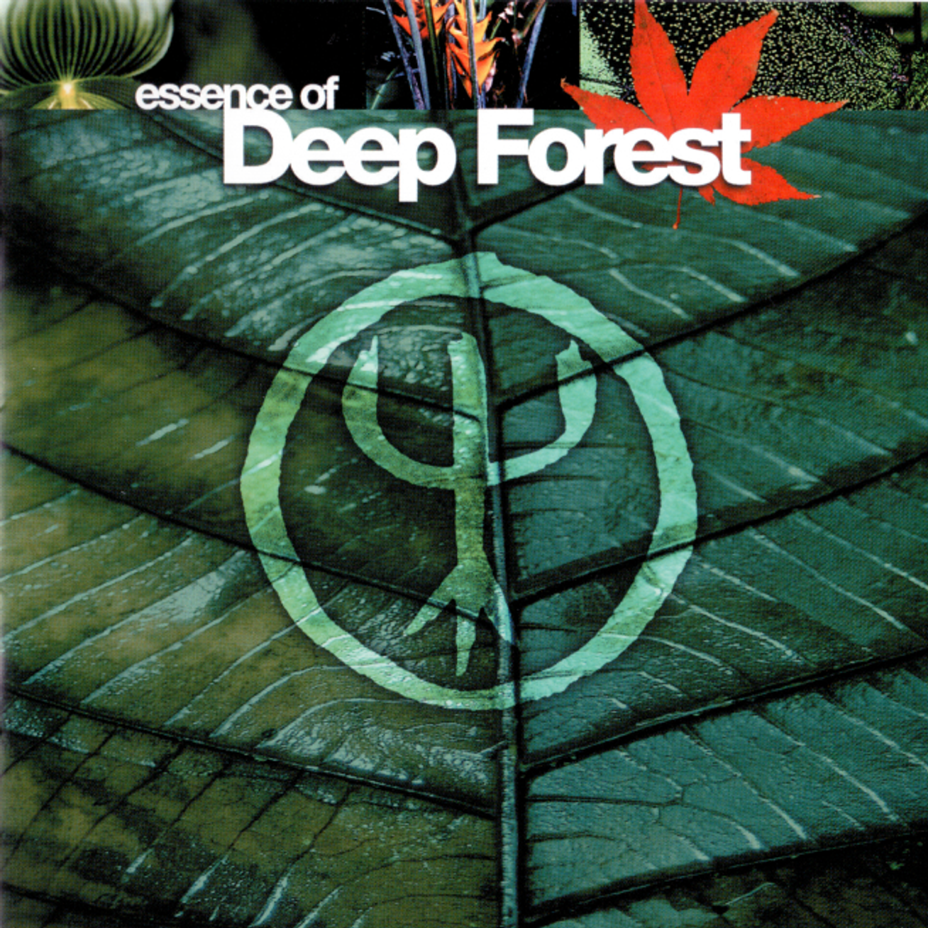 Обложка Essence of Deep Forest 2003.