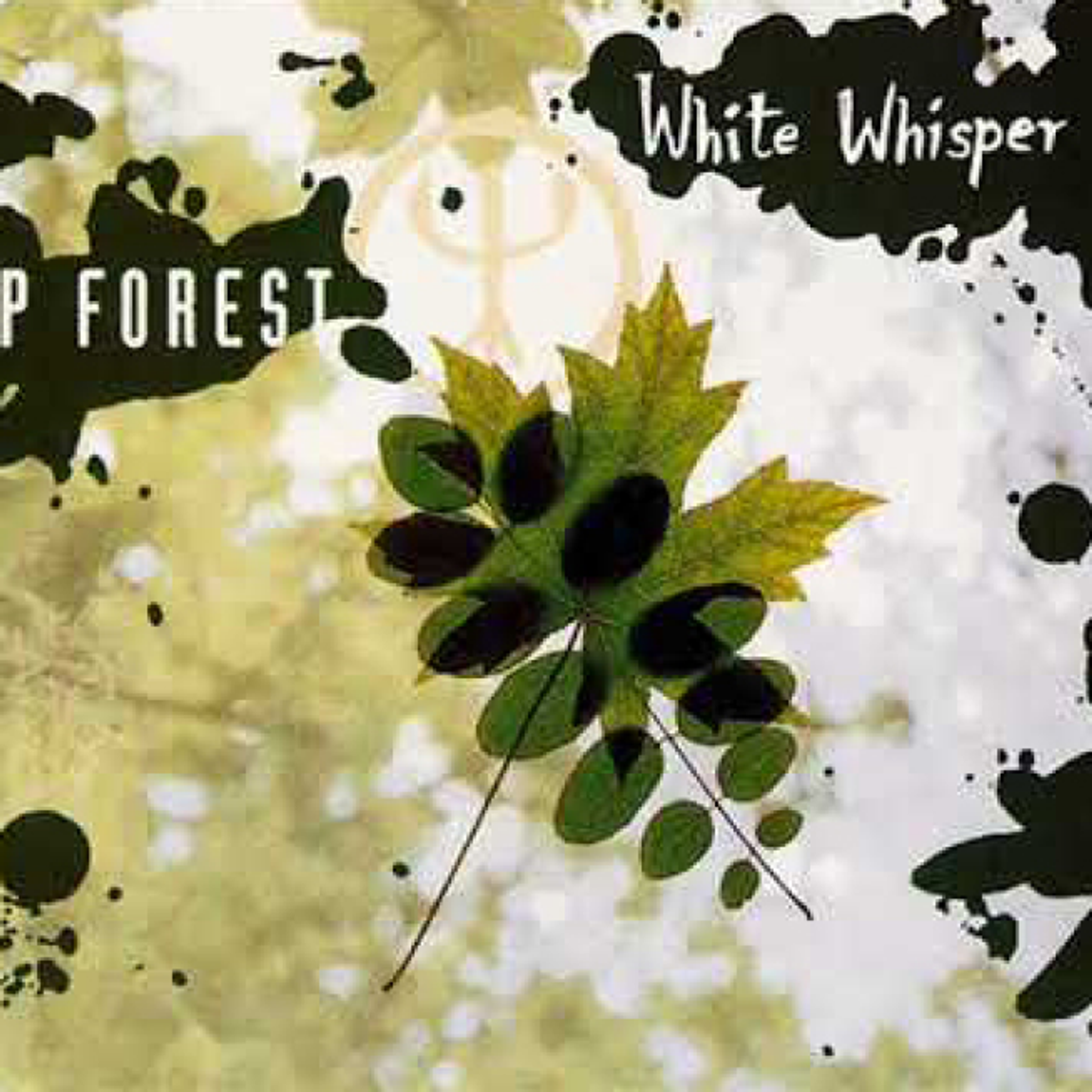 Обложка White Whisper 1992.